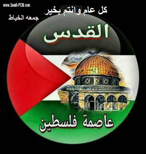 نجاح جديد للعرب لصالح حماية الفلسطين في غزة الجمعية العامة للامم المتحدة قبل دقائق